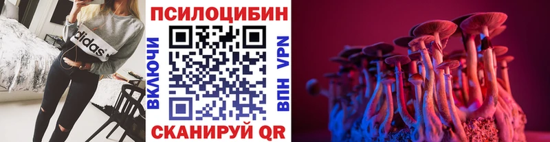 Галлюциногенные грибы Psilocybine cubensis  Дубна 